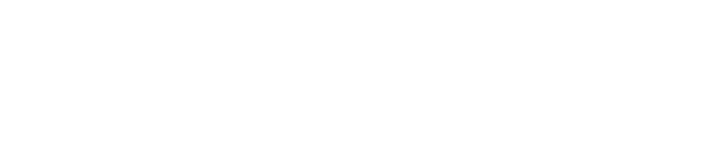 Hyperbuilt Brain